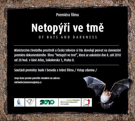 Netopýři ve tmě Netopýři ve tmě